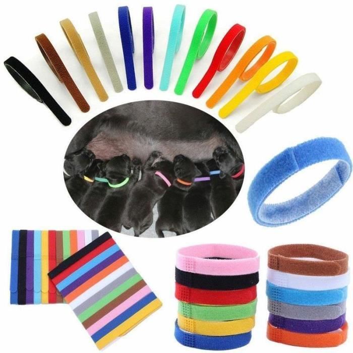 Colliers d'identification pour chiots