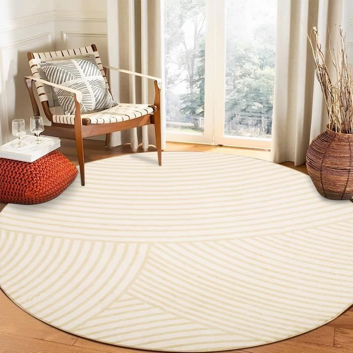 Tapis salon Beige rond Tapis décoration coussin de canapé Moelleux Doux 120x120 cm lavable