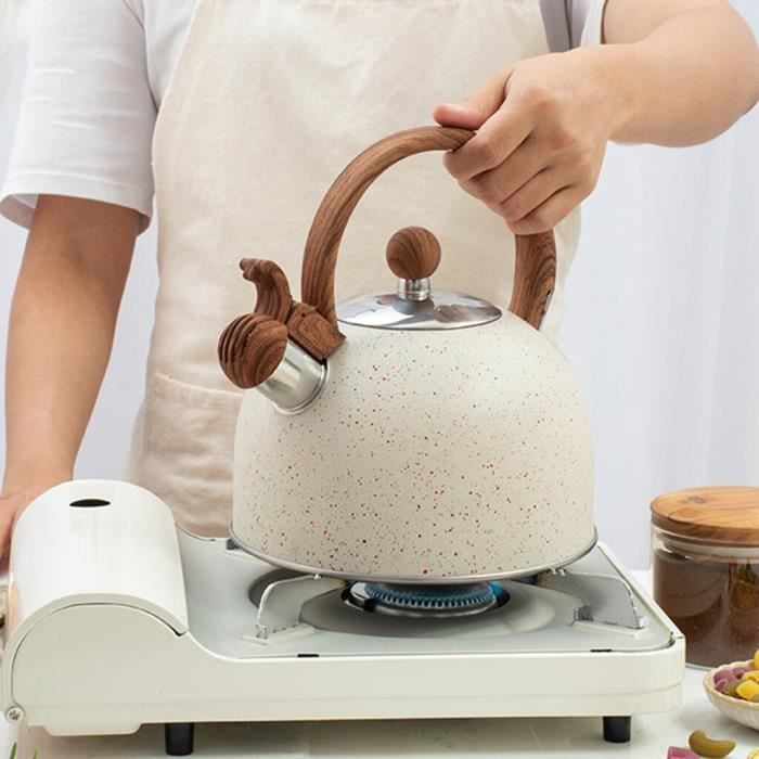 Bouilloire Marskitop Inox - Théière Poêle Sifflante - 2,6 QT - NEUF