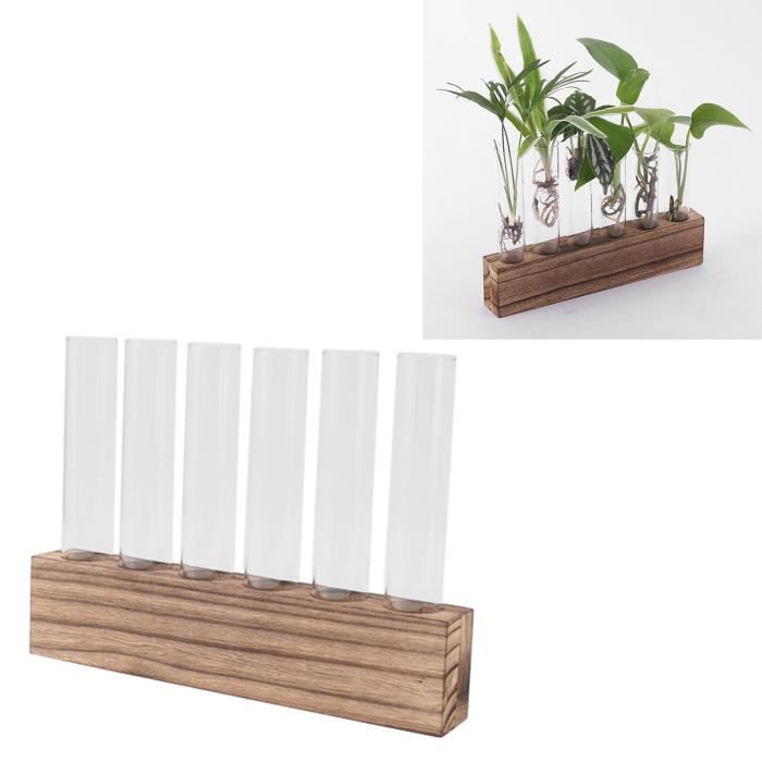 Terrarium pour plantes de bureau Station de Propagation des Plantes en