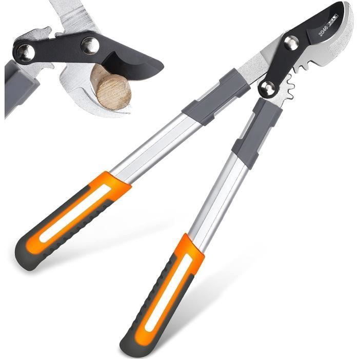 Coupe Branche Télescopique 67 - 101 Cm à Coupe Franche Démultiplié