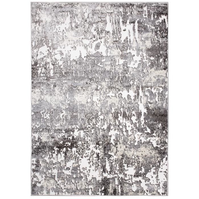 TAPISO Tapis de Salon Chambre NIL Gris Beige Blanc Design Tacheté ...