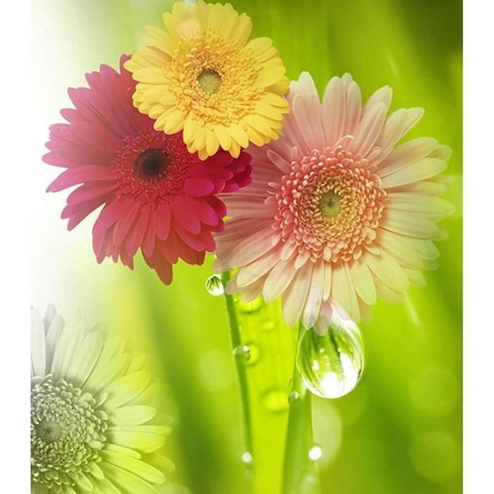 Mafenr Peinture Par Numéro Adulte – Fleurs – Toile 40x50 Cm – Kits DIY – Cadeau Détente – Sans Cadre