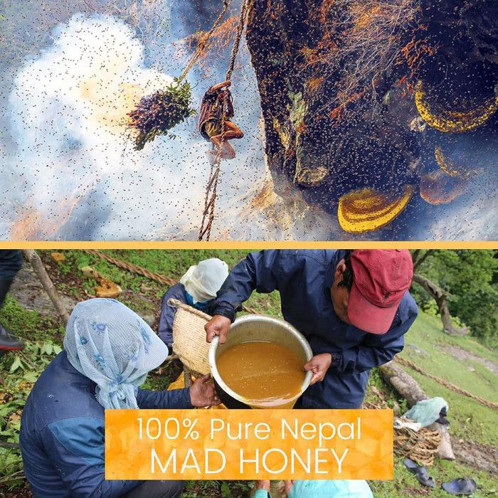 Mad Honey du Népal Miel Fou de l’Himalaya 100 Pur & Brut Récolté — free download