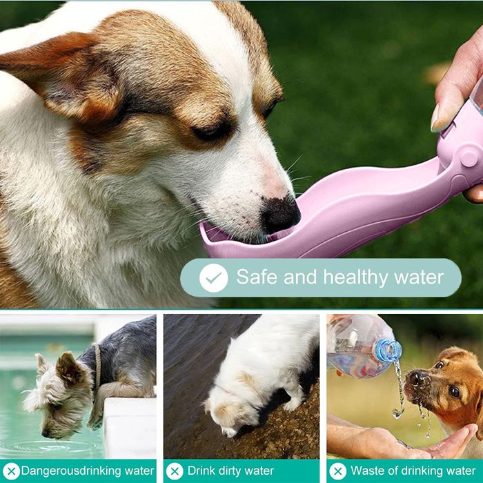 Distributeur d'eau pour chien pour promenade en extérieur Bouteille d — free download