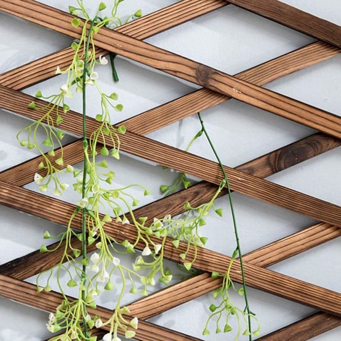 Neinkie Mur en treillis en bois – Treillis de jardin extensible pour plantes  grimpantes en plein air pour plantes d'extérieur Décoration murale  verticale pour terrasse de chambre 