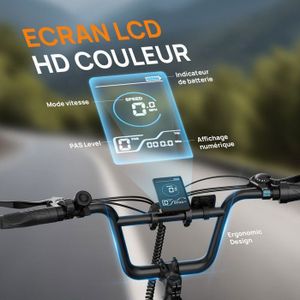 Kit écran LCD KT 2023-24 299BA Original Pour Vélo électrique EOVOLT - Neuf