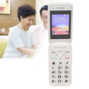 Téléphone portable ZJCHAO 2G Téléphone à écran 2 N509 2G Téléphone à 