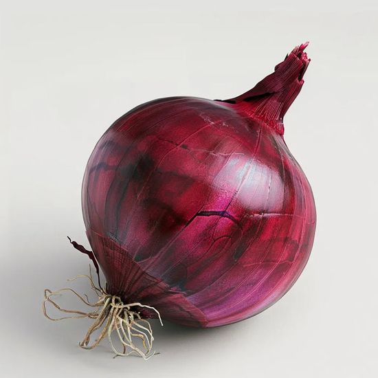 Graines D'oignon Rouge Red Créole - Lot De 250 Graines - Croissance Rapide, Saveur Douce, Rendement élevé - Pour Climats Chauds