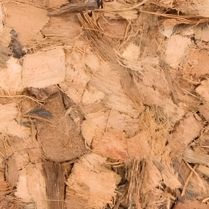 Copeaux de noix de coco