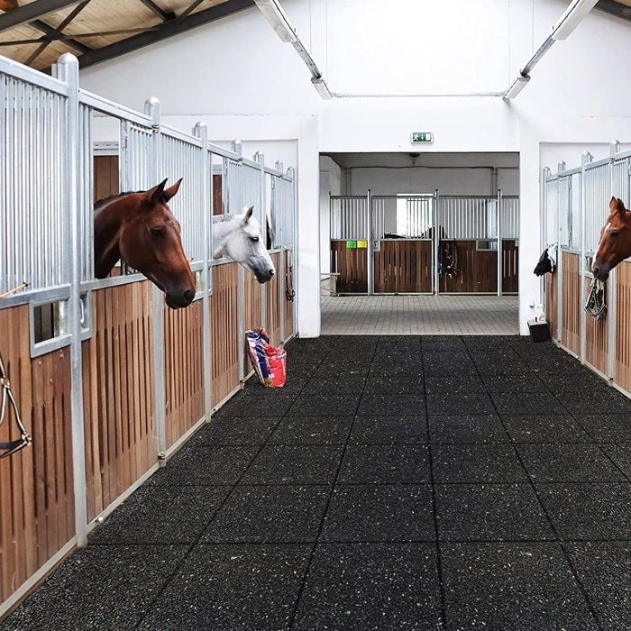 Meilleurs prix pour Tapis décurie en caoutchouc épaisseur : 10 cm 400 x 625 cm