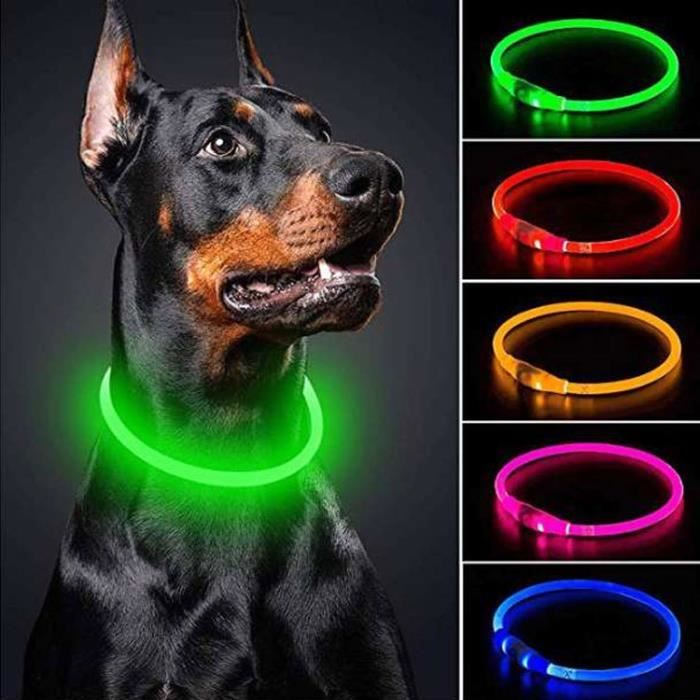 Meilleurs prix pour Collier Chien Lumineux USB Rechargeable Collier Longueur Ajustable, 3 Modes ,pour Petits Moyens Grands Chiens (Vert)