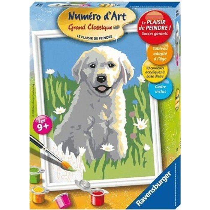 Numero D Art Grand Classique Achat Vente Jeu De Peinture Numero D Art Grand Classique Cdiscount