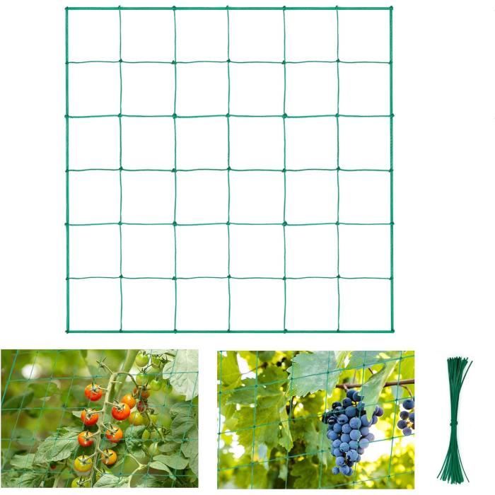 Filet Plantes Grimpantes 2.5x2m - Avec Attaches Pour Tomates, Concombres