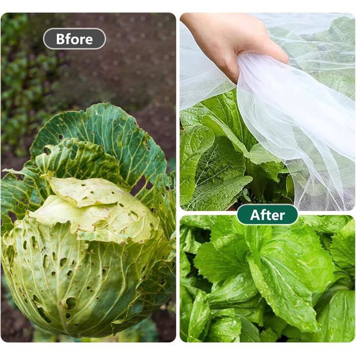 Filet Anti Insecte 3M X 6M, Filet De Protection Jardin, Filet Anti ...