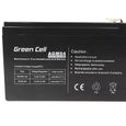 Batterie d'alimentation AGM VRLA Green Cell 12V 7Ah-2