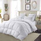 Couette Naturelle - NICEFEEL - Duvet d'oie blanc - 4 saisons - 220x240 cm