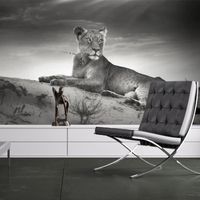 Papier peint Animaux Une lionne en noir et blanc 350x270 cm - Papier peint panoramique - Intissé