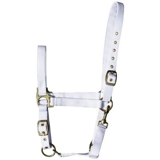 Brama West Licol à nœuds avec rênes pour chevaux – avec mousqueton Snap et strass – Vert/marron (Full Brama West Licol à nœuds avec rênes pour chevaux – avec mousqueton Snap et strass – Vert/marron (Full