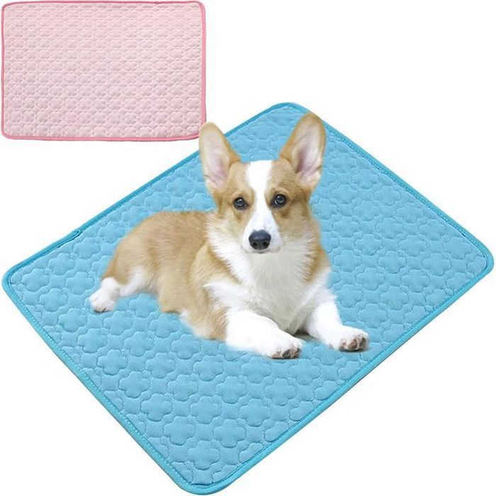 Tapis Rafraîchissant pour Chien & Chat – Sans Eau 50x40 cm – Bleu/Rose