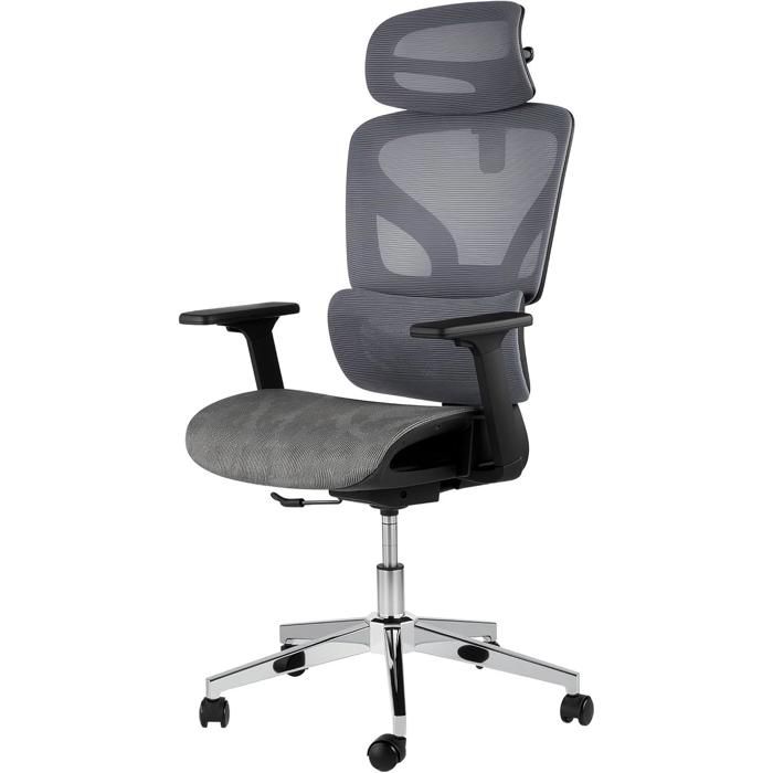 Chaise bureau maille ergonomique haut dossier soutien lombaire dynamique bras 4D repose-nuque rotation 360° charge 159 kg gris