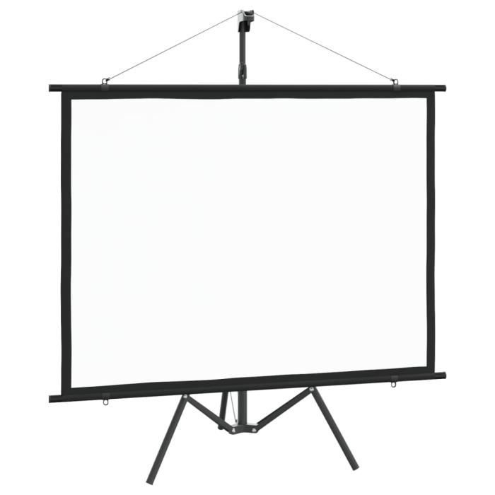 Écran De Projection Portable 100 Pouces Avec Trépied - Format 16:9, Sac De Transport - Pour Intérieur/extérieur, Home Cinéma, Présentation