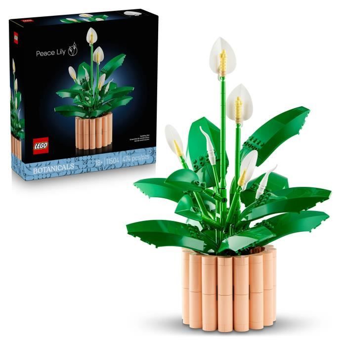 LEGO Botanicals Les Fleurs de Lune 11504 - vue 6