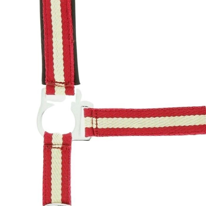 Norton Licol Pro Cheval de Trait - Couleurs - Brun Norton Licol Pro Cheval de Trait - Couleurs - Brun