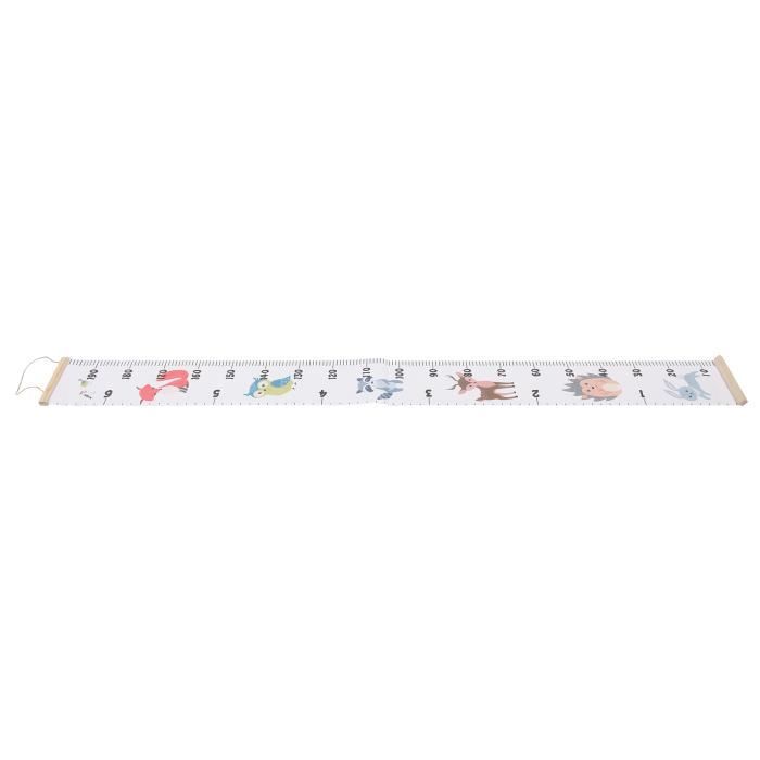 Mesureur De Pieds Enfant Et Adulte - 15 à 48 Cm - Bleu - Pour Pointure Précise