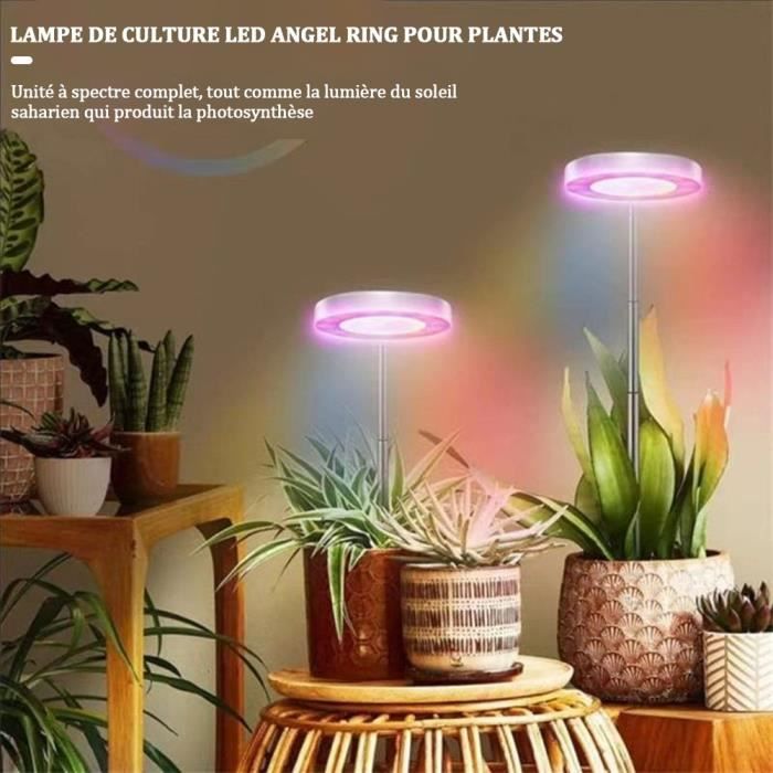 SWANEW Lampe Horticole 30W Tasmor Lampe Plante Intérieur 60 LEDs à 360°  Lampes de Croissance Horticoles avec Chronométrage - Cdiscount Jardin