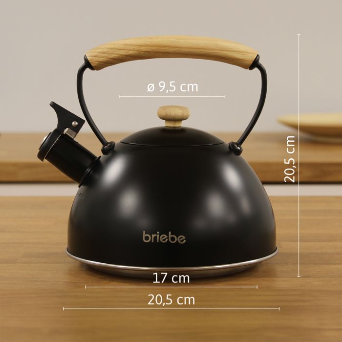 Bouilloire Sifflante En Acier Inoxydable 5L - Poignée Ergonomique - Pour Cuisinière Gaz/induction