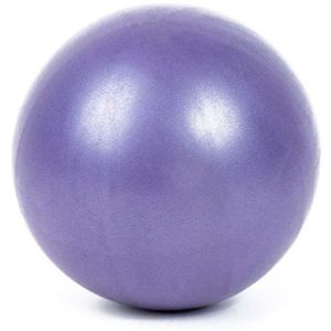 BALLON SUISSE-GYM BALL Mini ballon de fitness de 25 cm, ballon d'équilibre, ballon de yoga, ballon de gym, de fitness, ballon de perte de poids, convi 1554