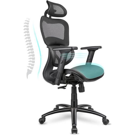 ChaCool Chaise Bureau Ergonomique Maille Respirante - Appui-tête & Soutien Lombaire Réglables - Noir