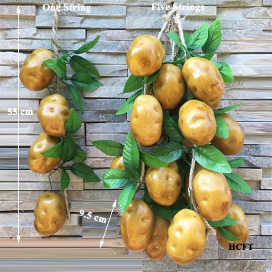 Comment Stériliser Des Haricots Verts ? | La Belle Assiette