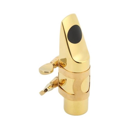 Dioche Embouchure de saxophone alto Kit d'embouchure de Saxophone