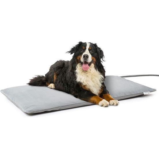 Chauffeur Perchoir Pour Oiseaux - USB, Anti-morsure, Pour Cage Perruche, Perroquet, Lapin - Intérieur/extérieur, Voyages