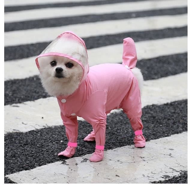 Pink M Manteau imperm able capuche pour chien couverture
