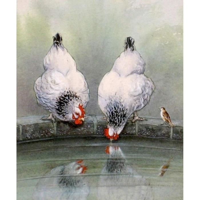 Kit Peinture Diamant 5D Chat - Toile 30x40 Cm, Diamants Ronds, Art DIY Déco Murale