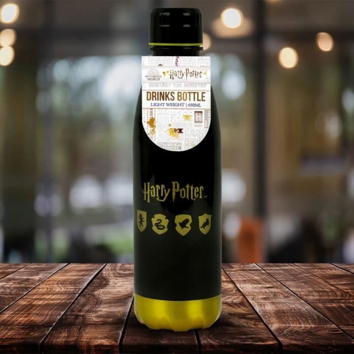 Gourde Harry Potter Wizarding World Poudlard 650 ml, Commandez facilement  en ligne