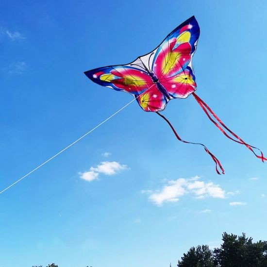 Cerf-volant Facile Pour Enfants Et Adultes – Avec Queue Colorée, Ligne De 50 M Et Poignée – Sac De Rangement Inclus – Idéal Pour Plage Et Jardin