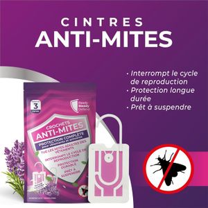 Les mites textiles : comment s’en débarrasser et protéger vos vêtements Les mites textiles : comment s’en débarrasser et protéger vos vêtements