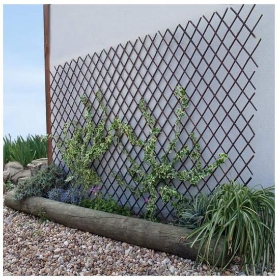 Treillis Extensible En Osier Catral 200x100 Cm - Séparation Décorative Pour Jardin
