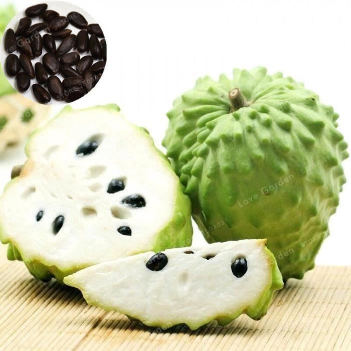 5 Pièces Corossol Fruit (Graviola Annona Muricata) Sucreur Bonsa Délicieux Sucre Pomme Arbre Plante En Bonsaï #47