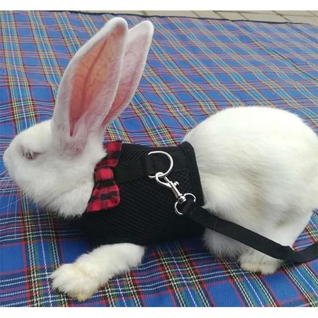 [noir/s] Lapin hamster lapin gilet harnais avec laisse lapin maille sangle de poitrine harnais furet guinée petits animaux