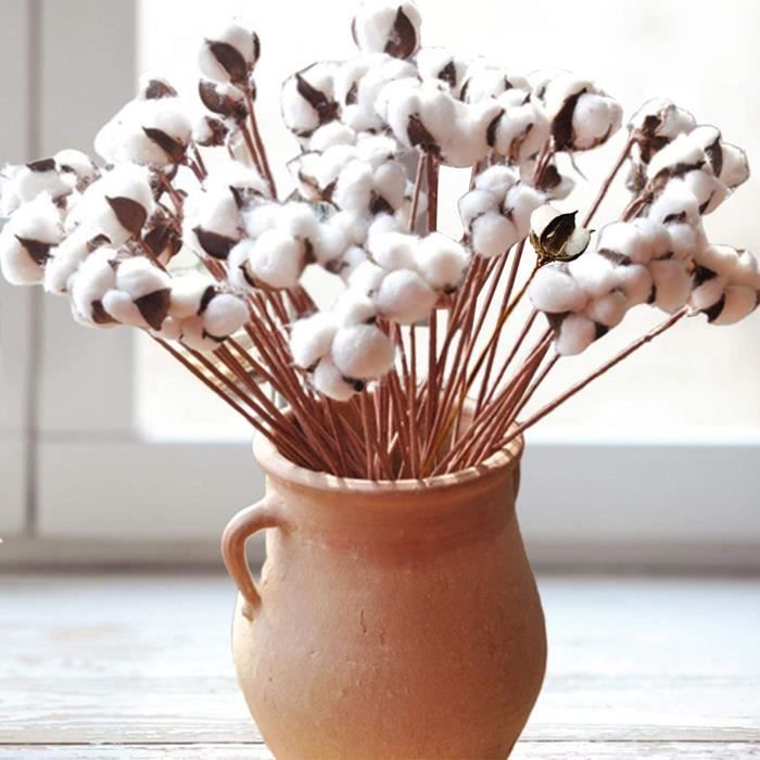 FLEUR SECHEE adfafw pcs Ensemble Unique Tête Séchée Fleur de Coton avec la Branche Courte Conservée F1202