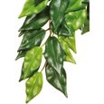 EXO TERRA Ficus Jungle Plant GM - Pour terrarium-1