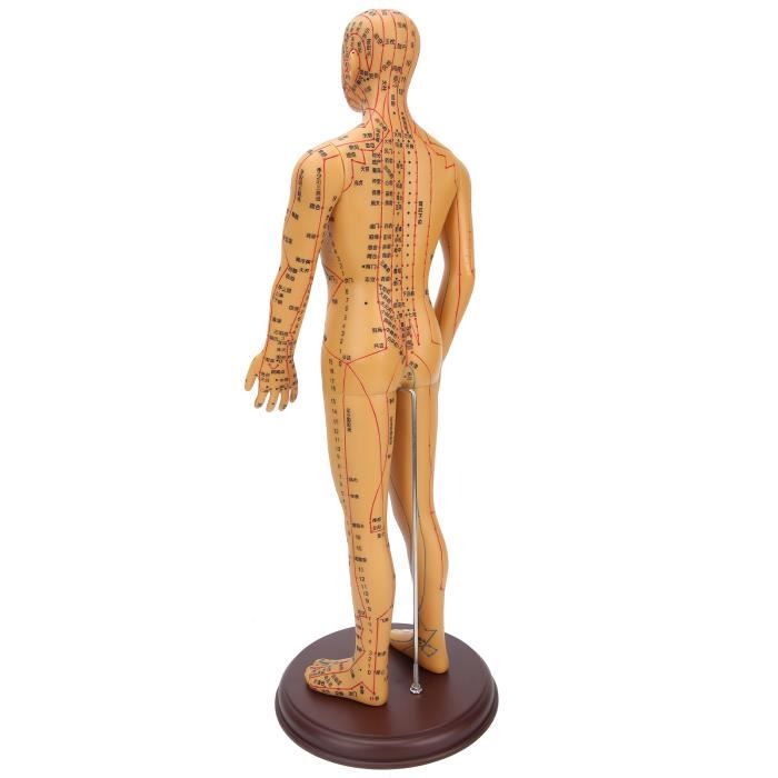 Modèle de Points Méridiens, Modèle d'acupuncture du Corps Humain, Portable Professionnel pour l'enseignement des Sciences du Massage