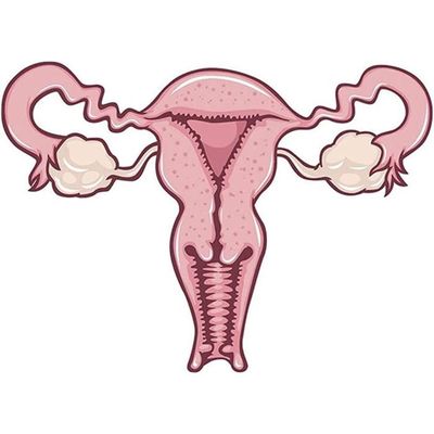 Broches En Forme D'Utérus Or - Lot De 10 | Cadeau Infirmière, Médecin, Féminisme