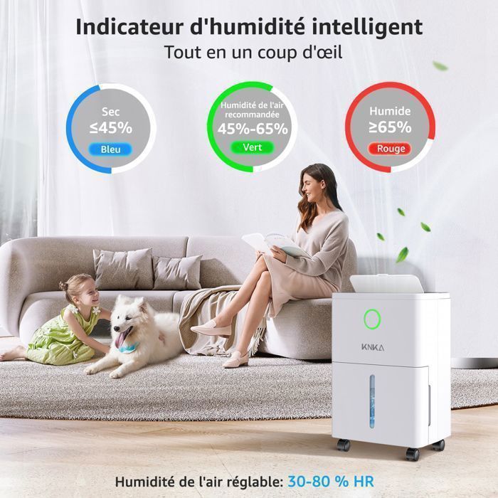 Déshumidificateur à Compresseur : Devis Sur - Machines