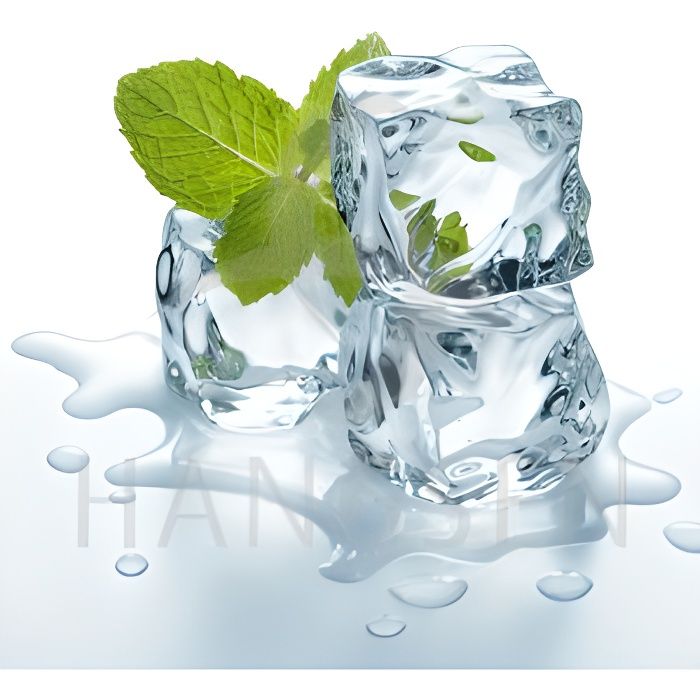 E-liquide goût menthe super glaciale 10ml 6mg